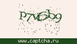 Защитный код