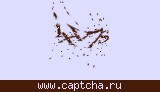 Защитный код