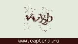 Защитный код