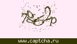 Защитный код