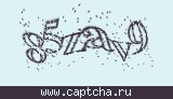 Защитный код