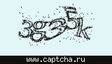 Защитный код