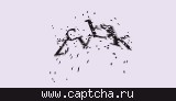 Защитный код