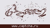Защитный код