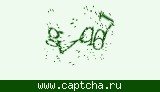 Защитный код