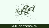 Защитный код