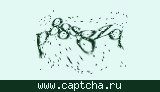 Защитный код