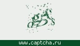 Защитный код