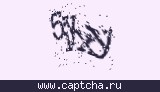 Защитный код