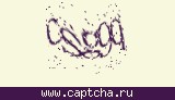 Защитный код
