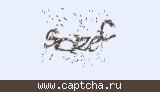 Защитный код