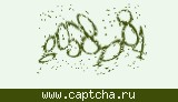 Защитный код