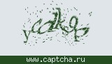 Защитный код