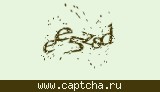Защитный код