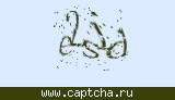 Защитный код