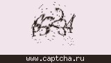Защитный код