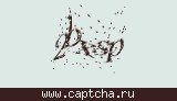 Защитный код