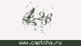 Защитный код