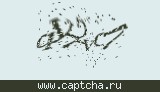 Защитный код
