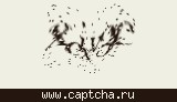Защитный код