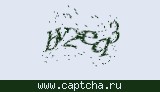 Защитный код