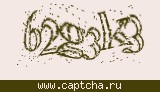 Защитный код