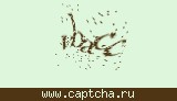 Защитный код