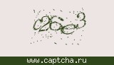 Защитный код