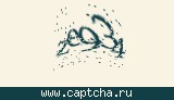 Защитный код