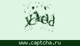 Защитный код
