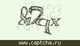 Защитный код
