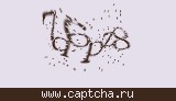 Защитный код