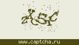 Защитный код