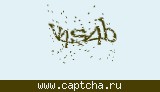Защитный код