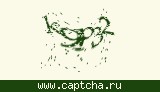 Защитный код