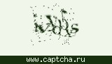 Защитный код