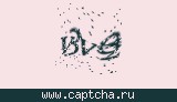 Защитный код