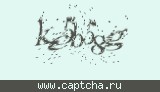 Защитный код