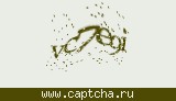 Защитный код