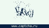 Защитный код