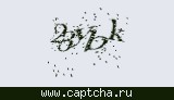 Защитный код