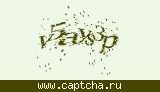Защитный код