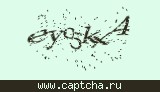 Защитный код