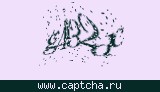 Защитный код