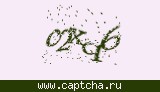 Защитный код