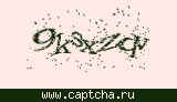 Защитный код