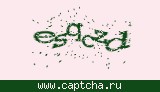 Защитный код
