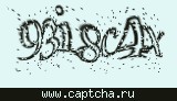 Защитный код