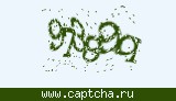 Защитный код