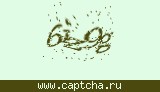 Защитный код